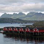 Paesaggi delle Lofoten