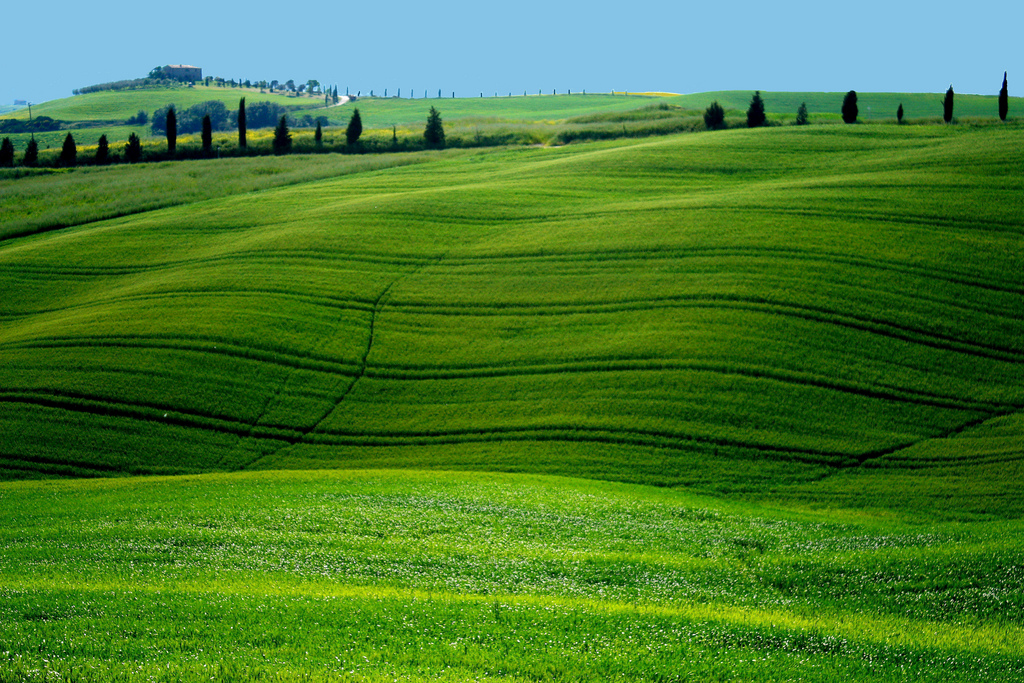 Paesaggi di Vini