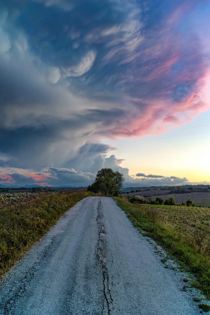 Paesaggi e Tramonti