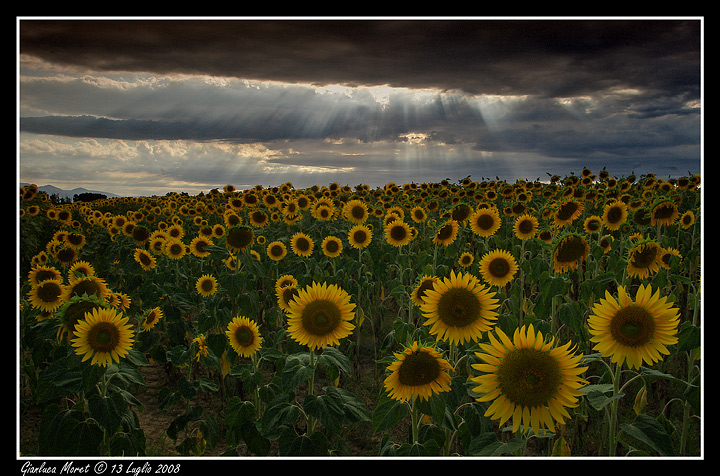 Paesaggio 1