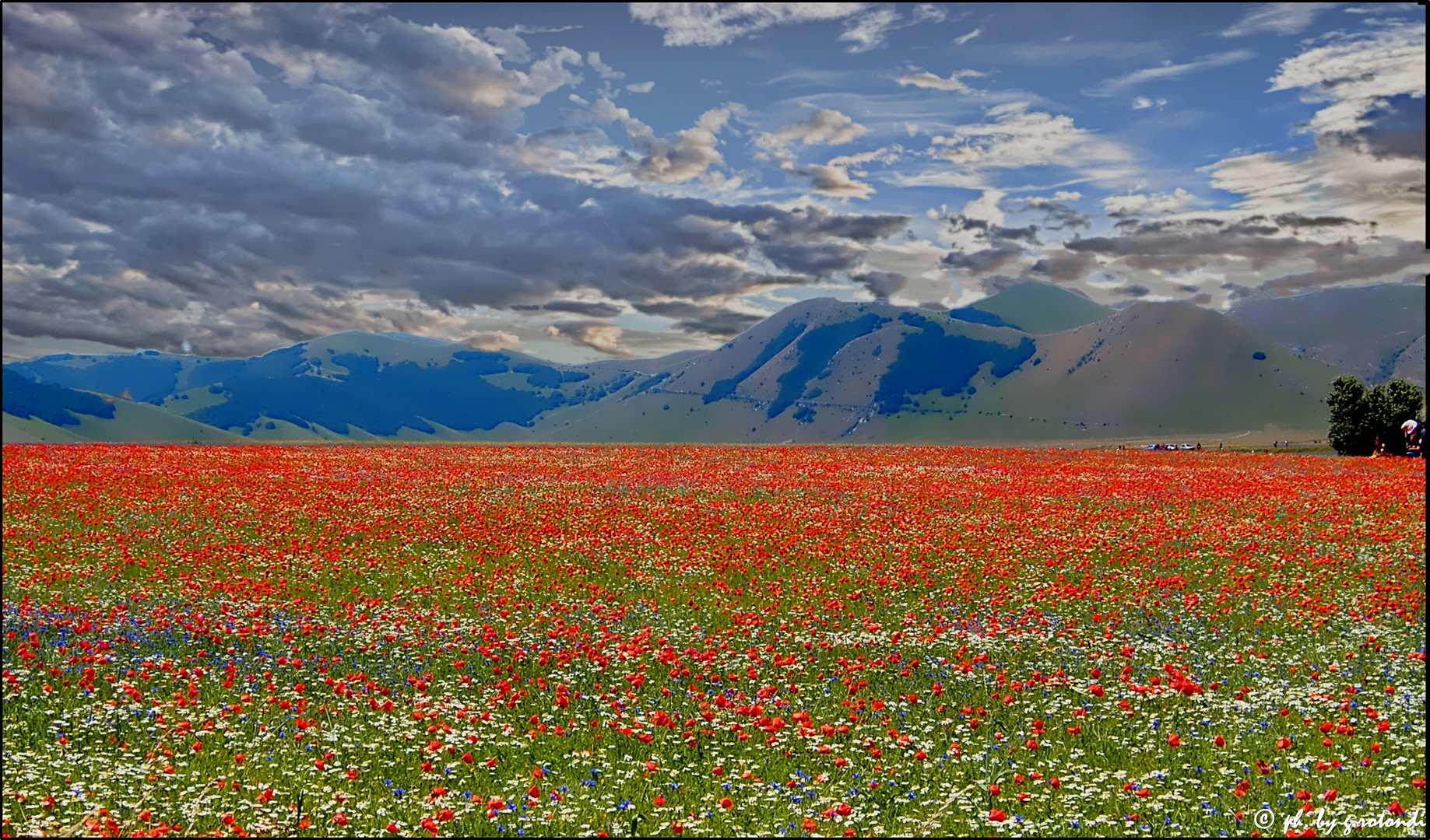 Paesaggio 