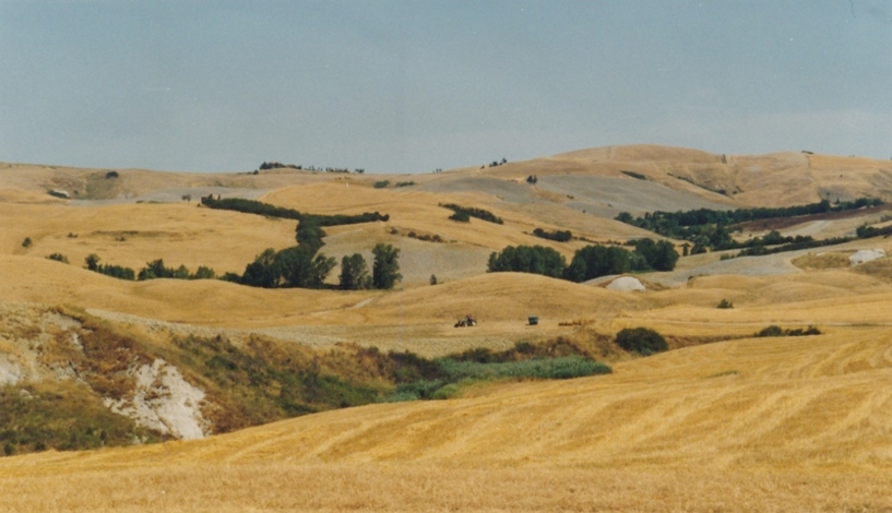 Paesaggio 2001