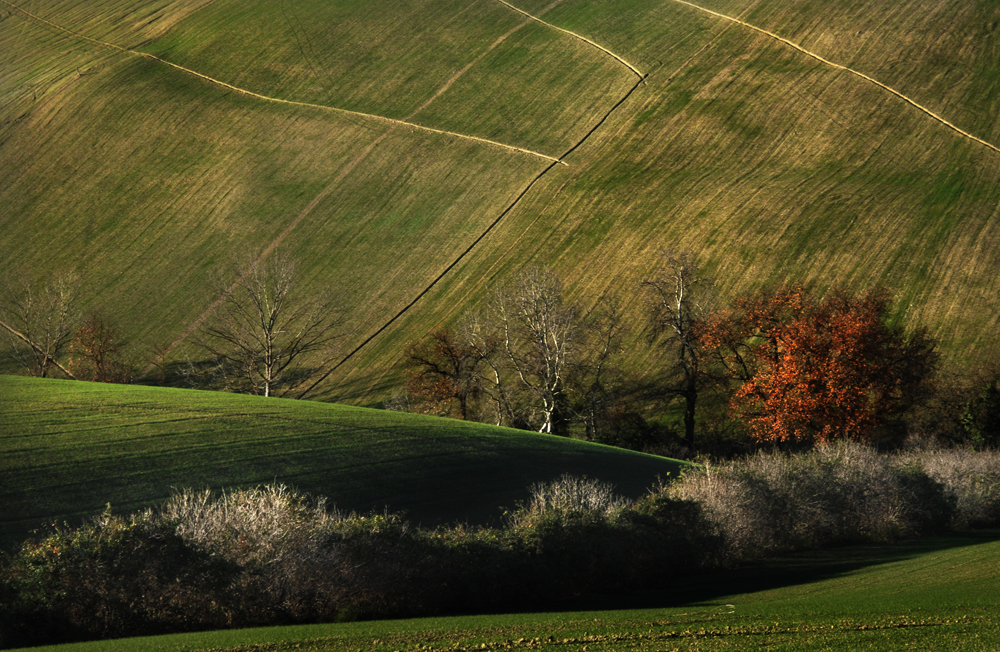 paesaggio