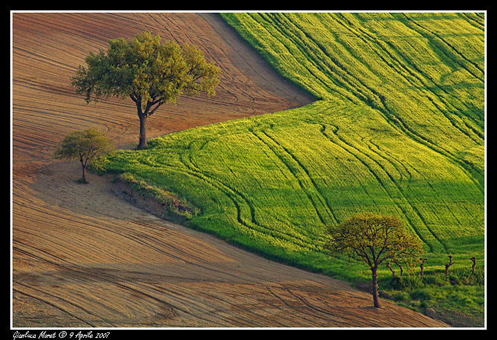 Paesaggio 6