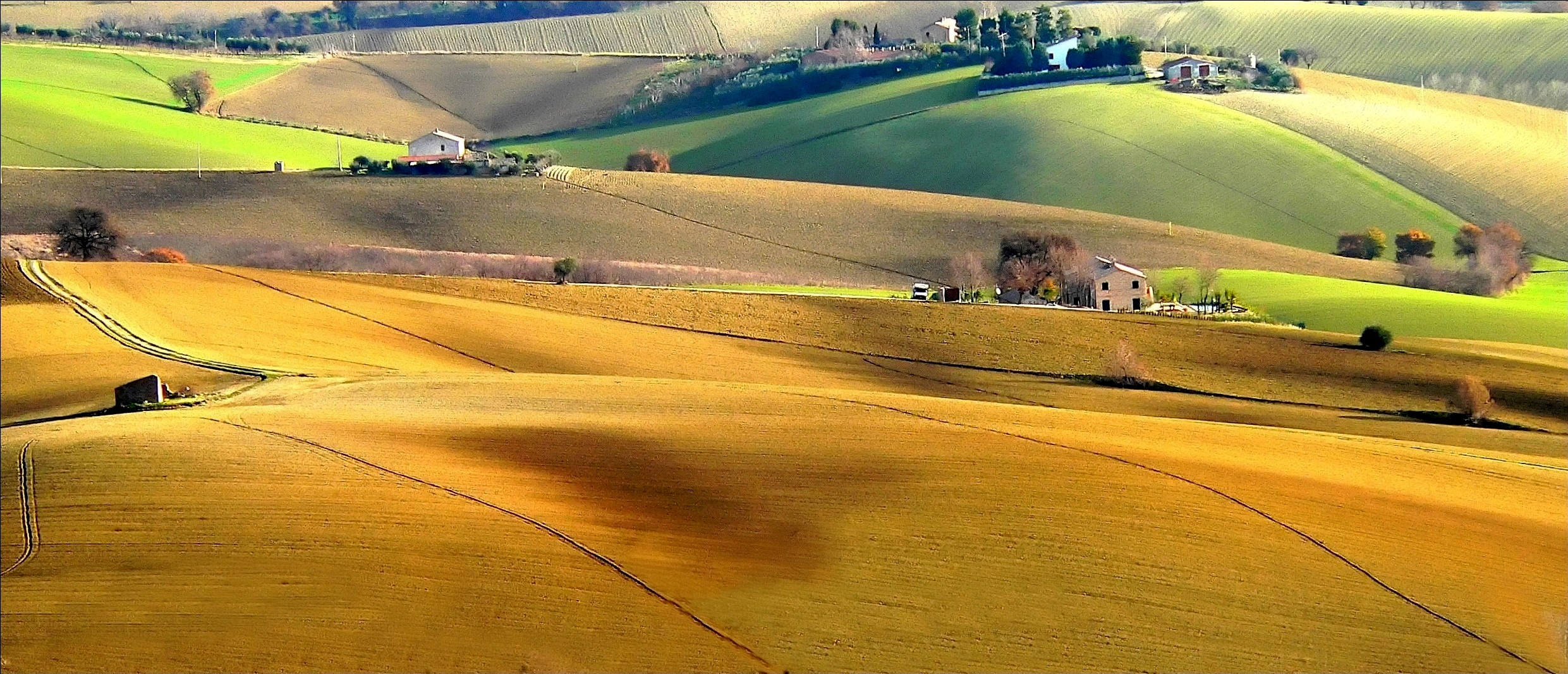 Paesaggio