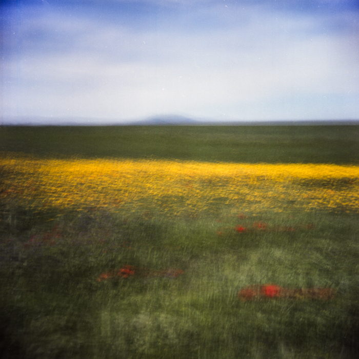 Paesaggio a colori di tipo b 