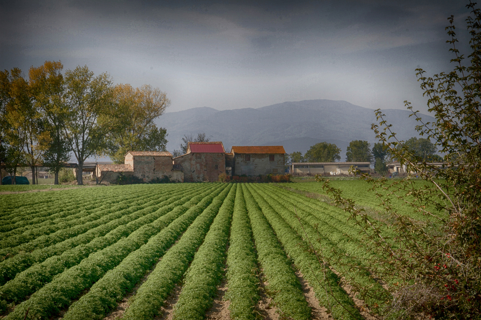 ...paesaggio...