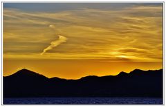 paesaggio adatto alla palma d'oro...