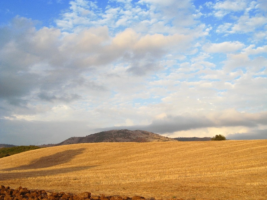 paesaggio a/e colori