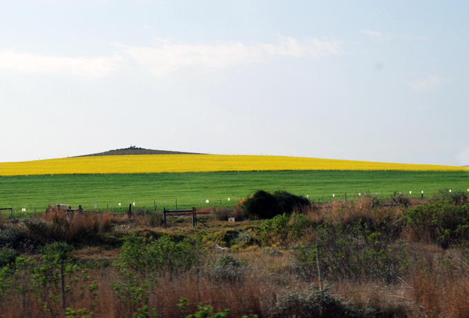 paesaggio africano