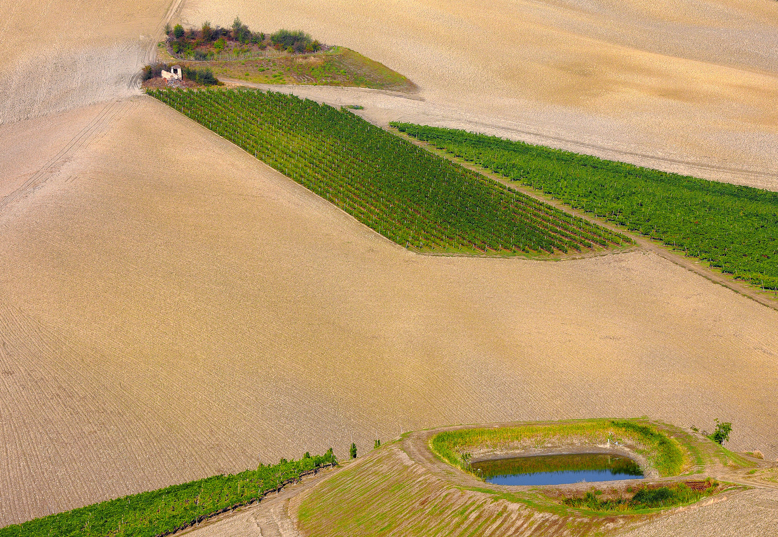 Paesaggio agricolo