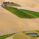 Paesaggio agricolo