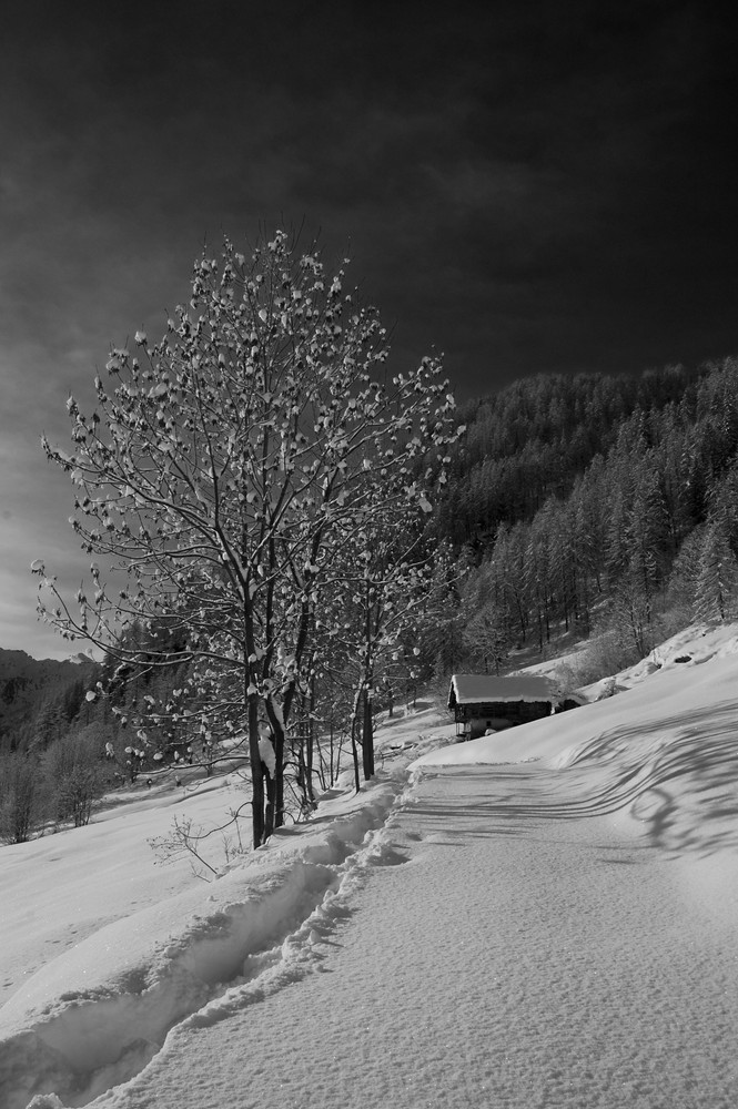 Paesaggio alpino