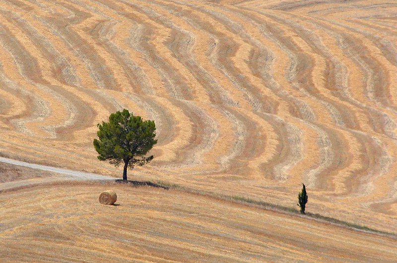 Paesaggio armonioso