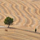 Paesaggio armonioso