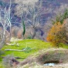 Paesaggio autunnale