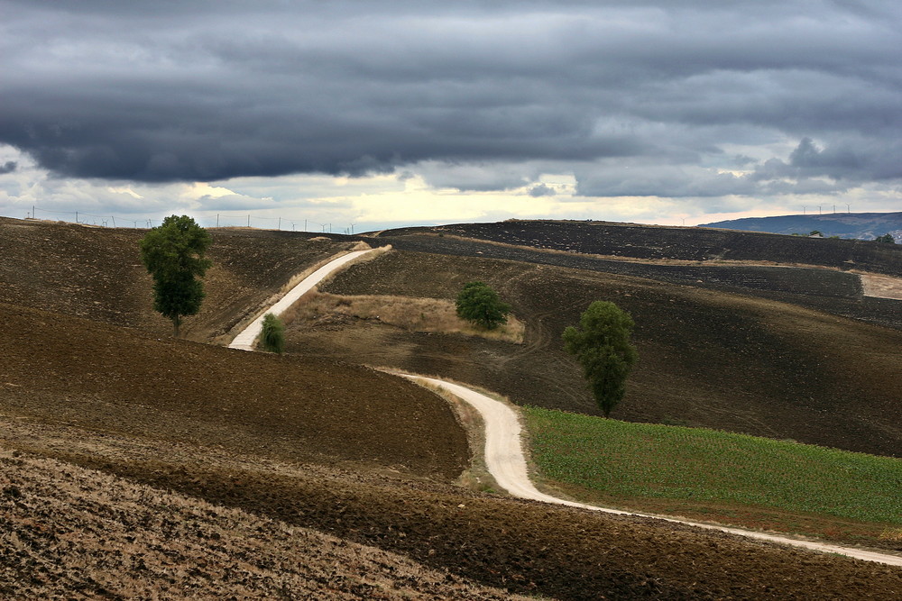 Paesaggio Autunnale