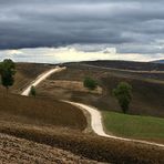 Paesaggio Autunnale