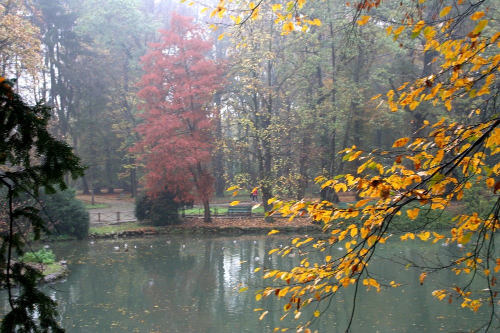 Paesaggio autunnale 3