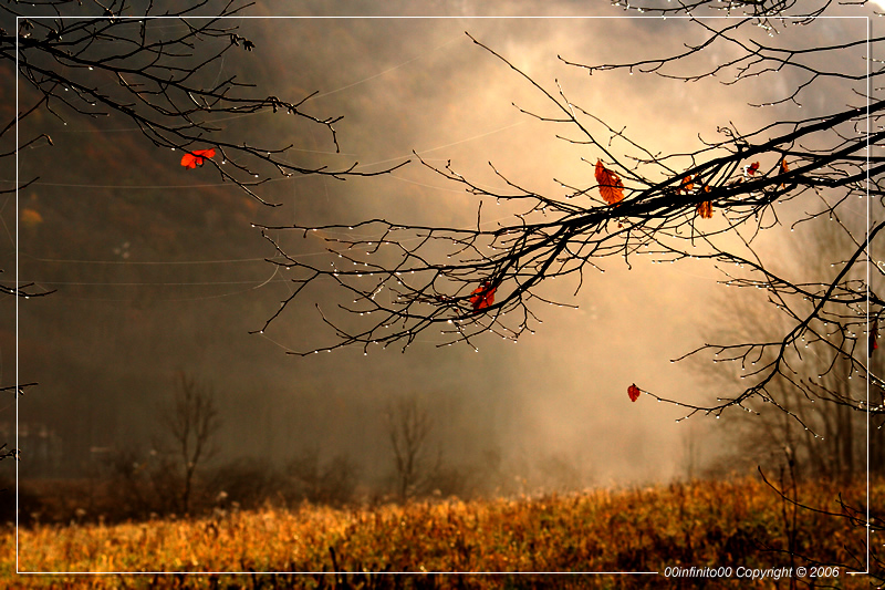 :: Paesaggio autunnale...