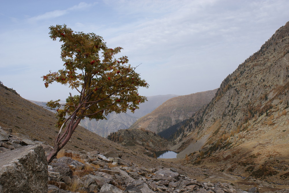 Paesaggio autunnale