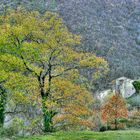 Paesaggio autunnale con rudere