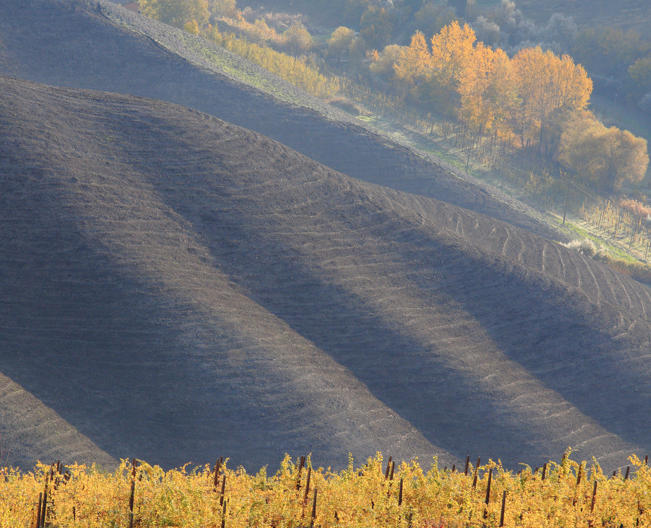 Paesaggio autunnale n. 1