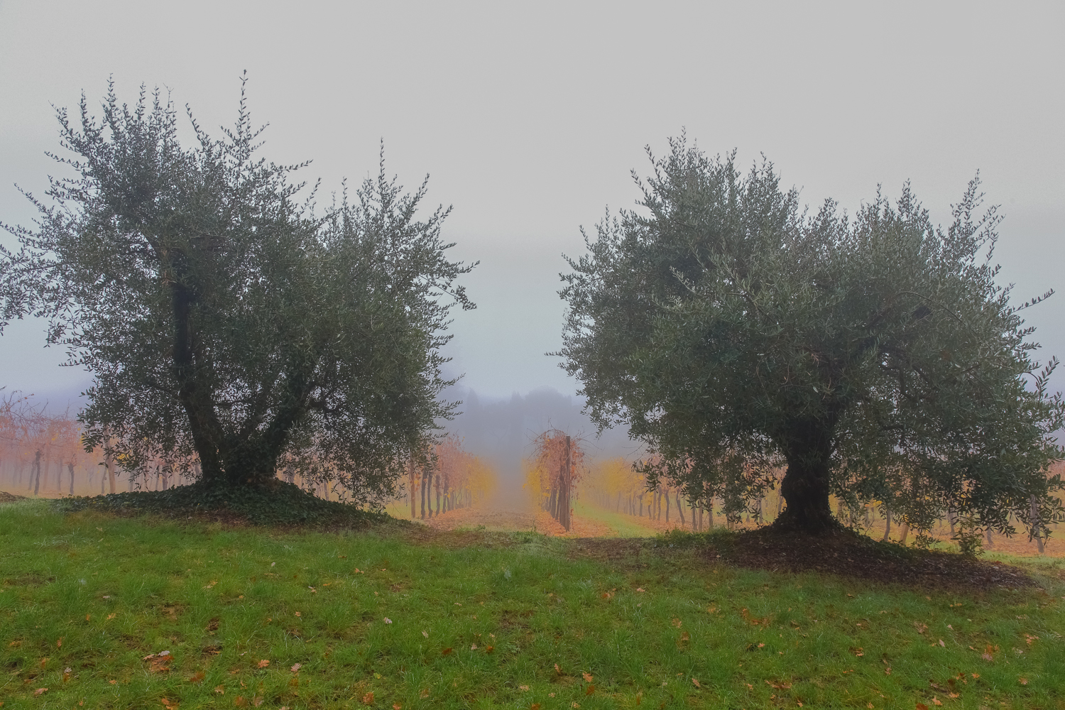 Paesaggio autunnale n. 7