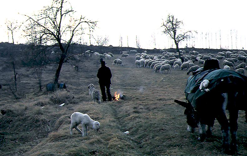 paesaggio bivacco