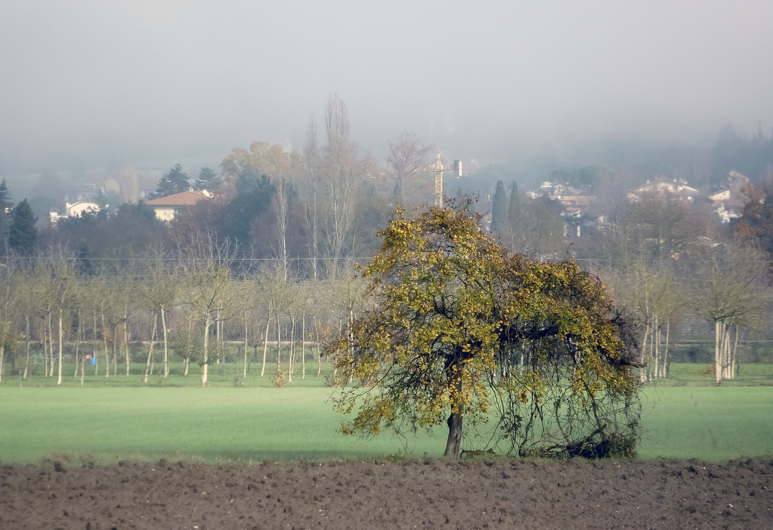 Paesaggio