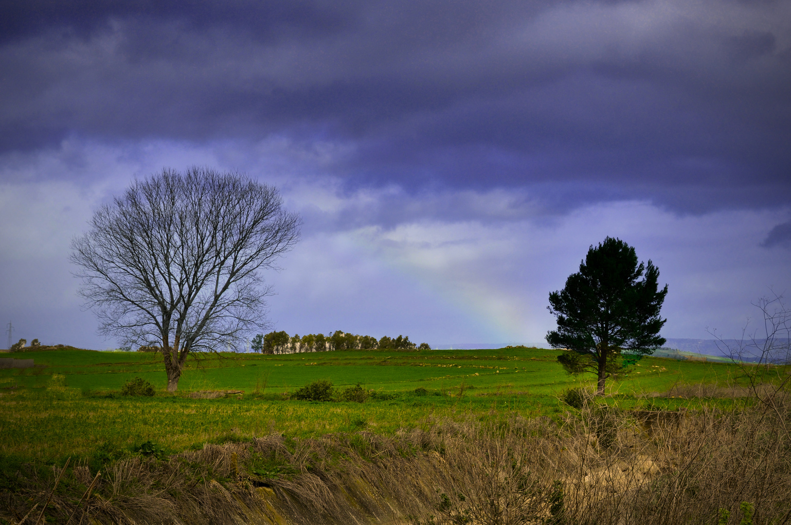 Paesaggio campestre