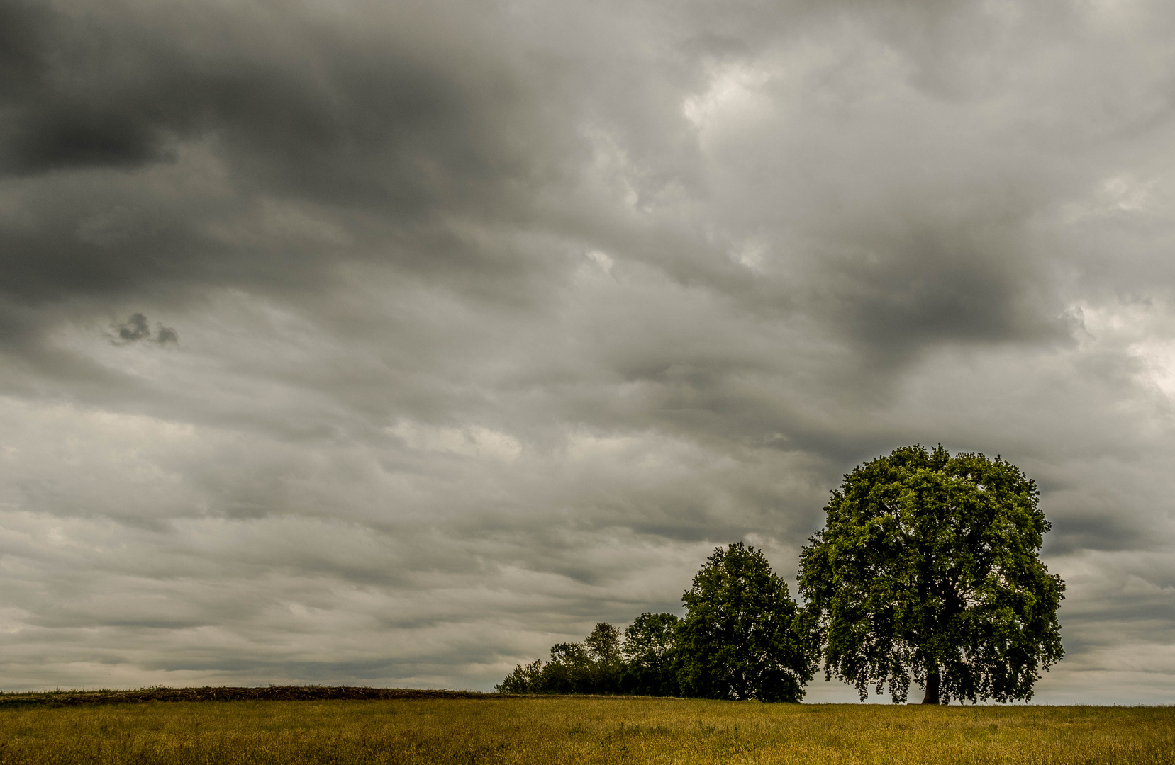 paesaggio campestre