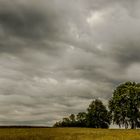 paesaggio campestre