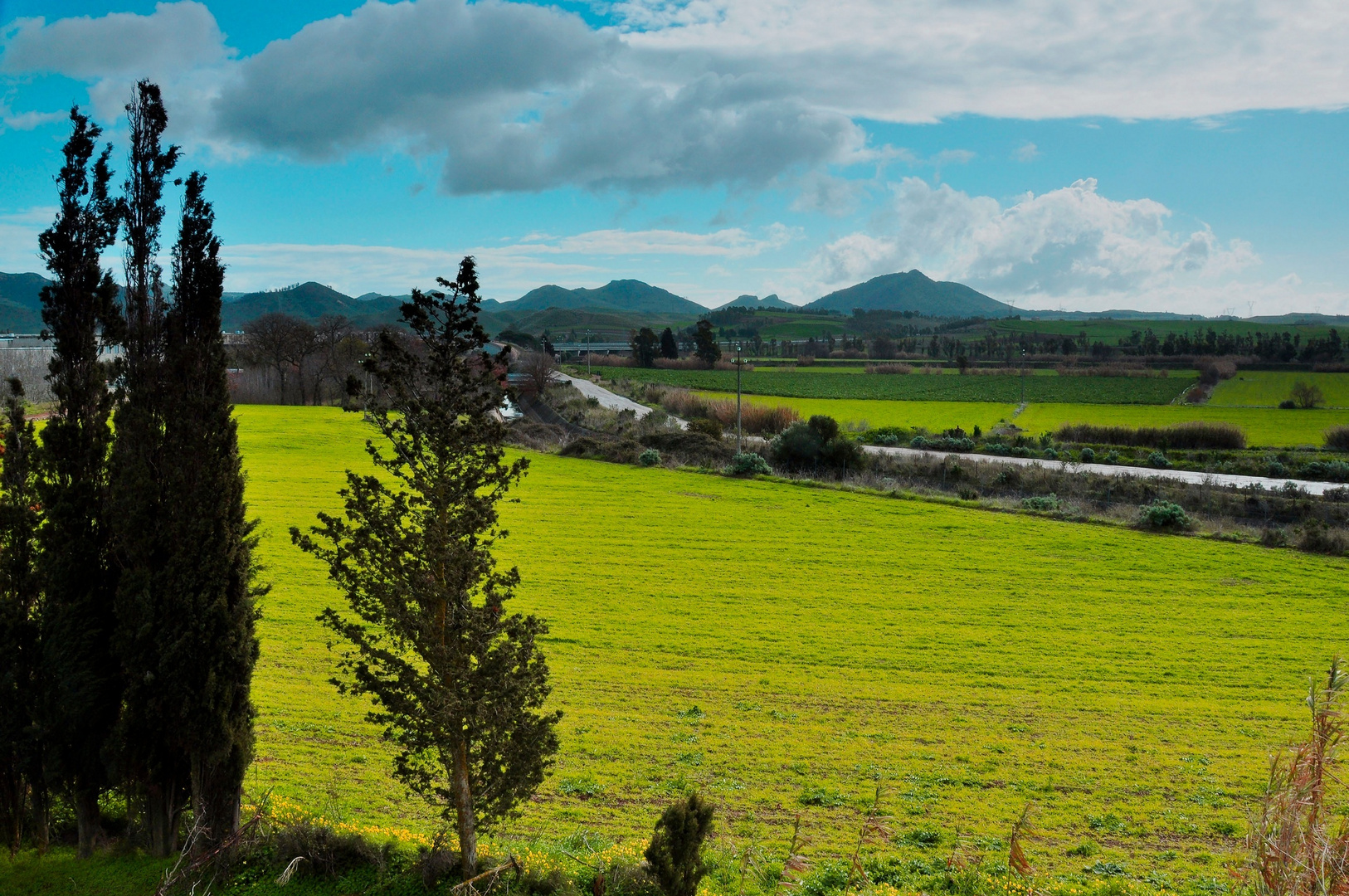 Paesaggio campestre