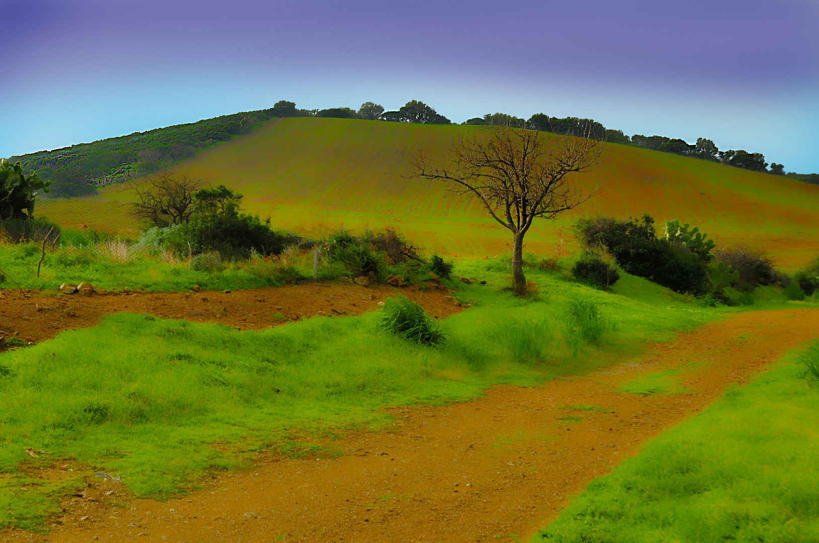 Paesaggio campestre con Albero