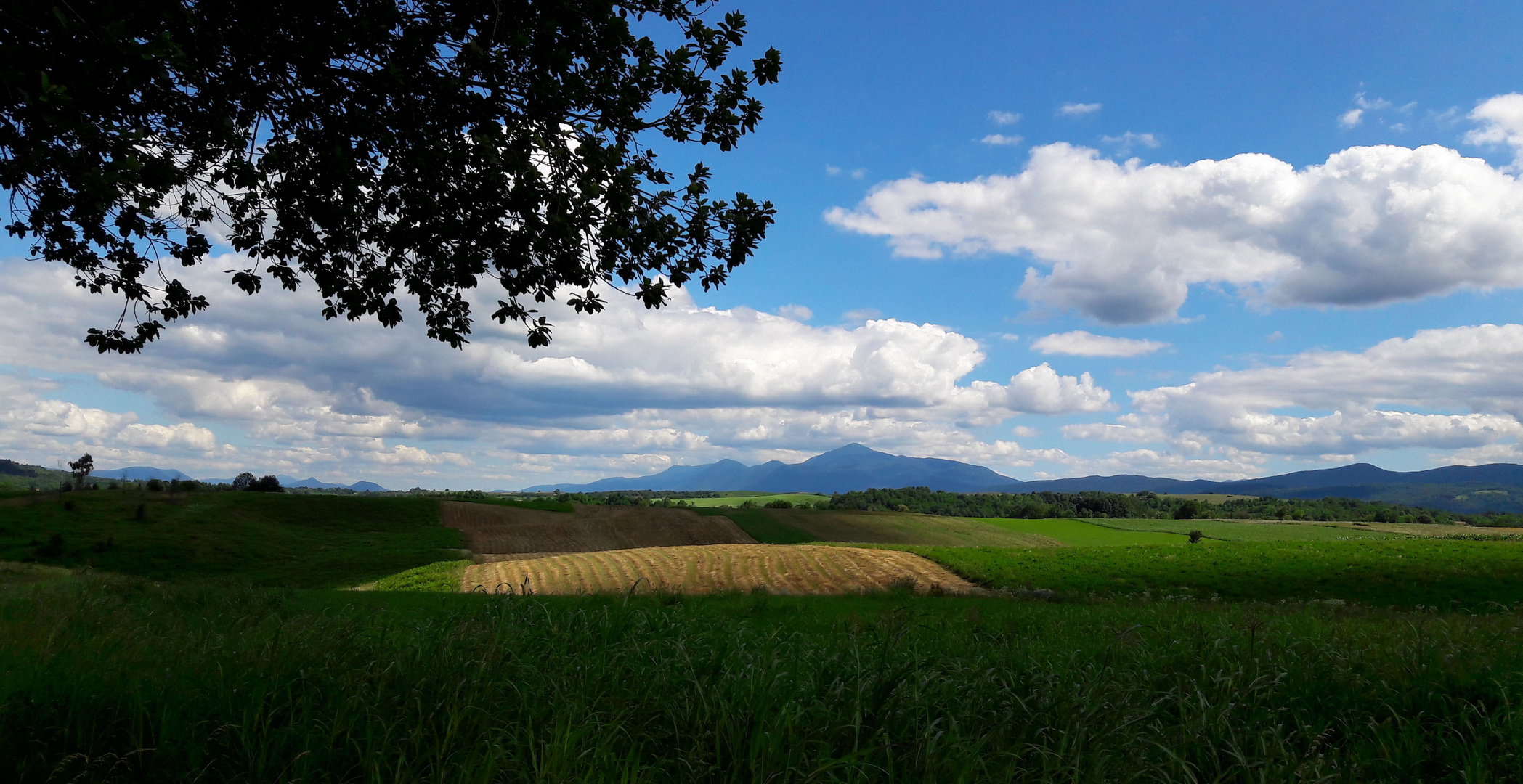 Paesaggio campestre tra sole e nuvole