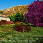 PAESAGGIO CASA E MONTAGNA