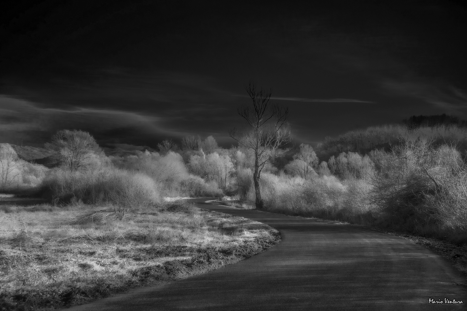 Paesaggio con filtro infrarosso