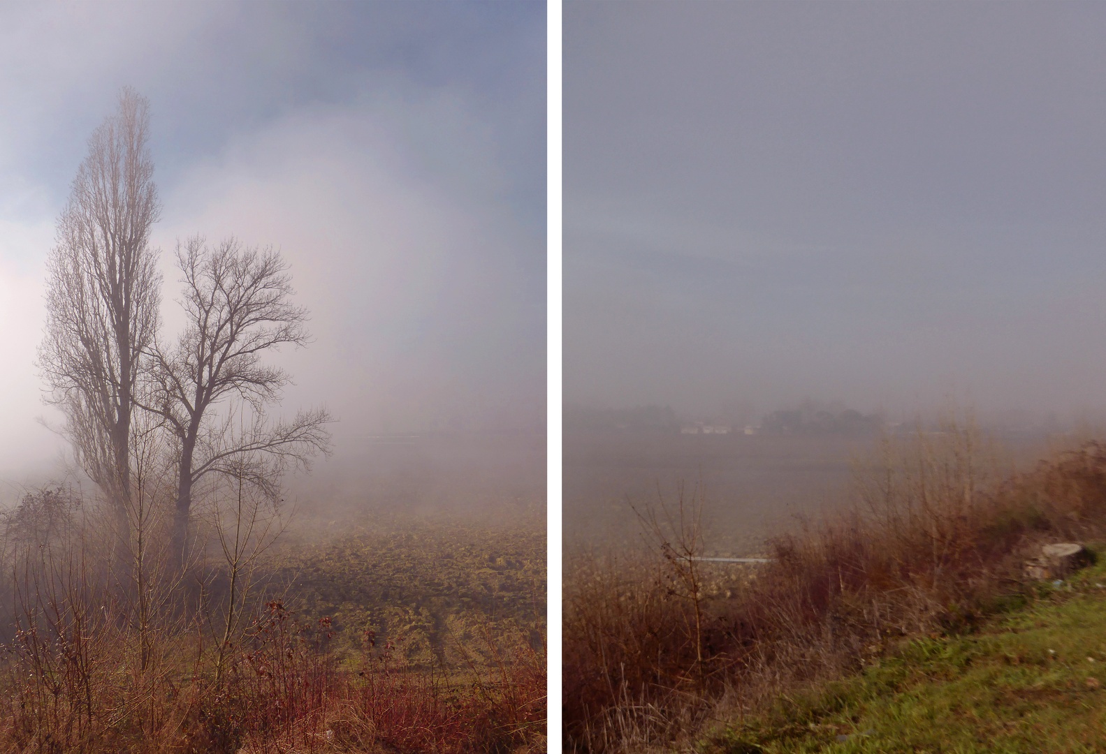 ..paesaggio con nebbia...