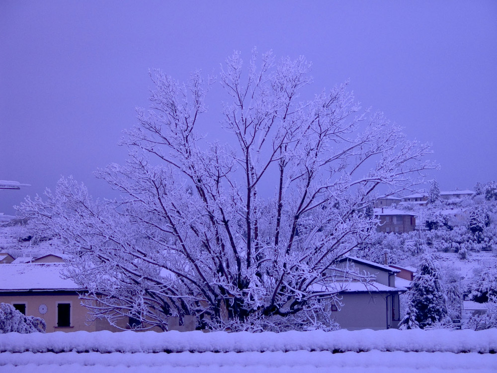 Paesaggio da ....... Sogno