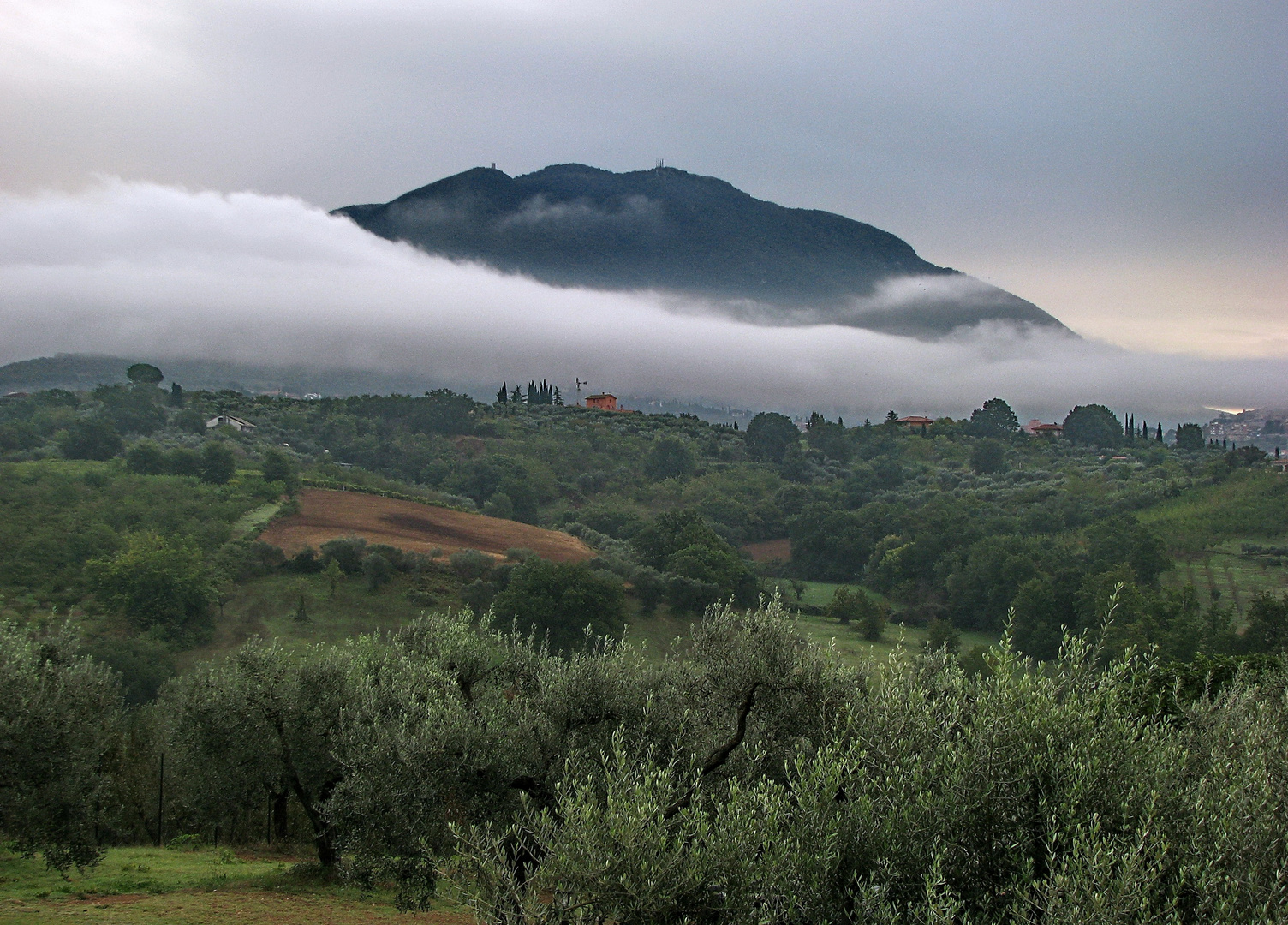 "Paesaggio" di Bruno Aurisicchio