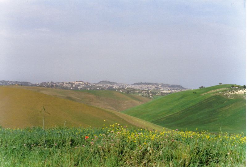 paesaggio di campagna