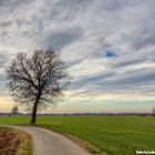 paesaggio di campagna