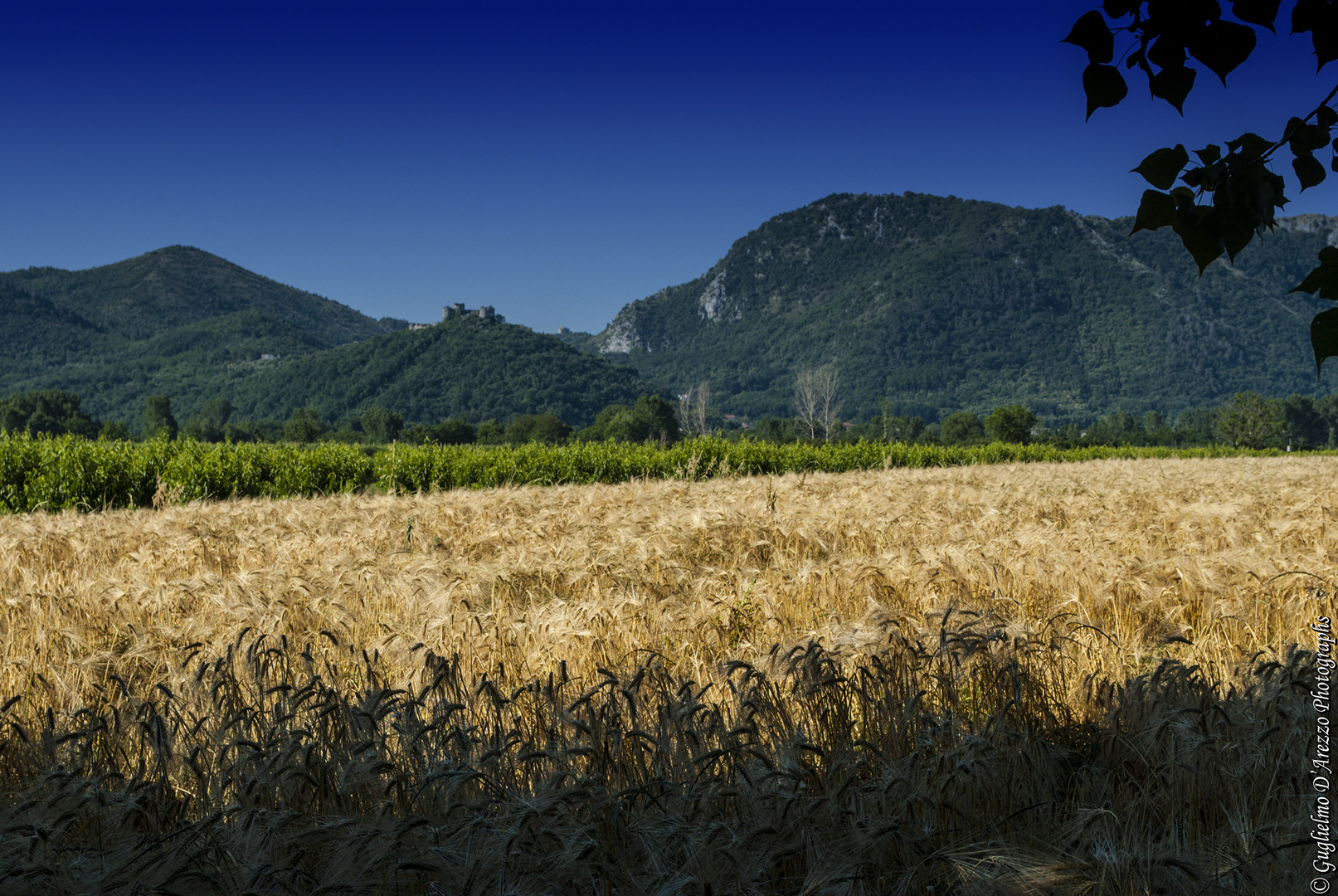 Paesaggio di fine primavera