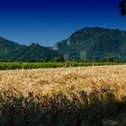 Paesaggio di fine primavera