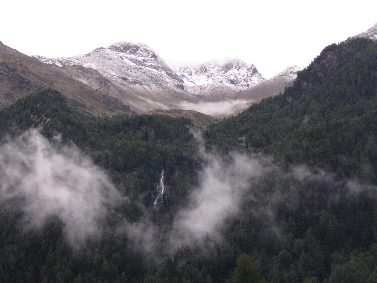 Paesaggio Di montagnia In Agosto a PEJO TERME