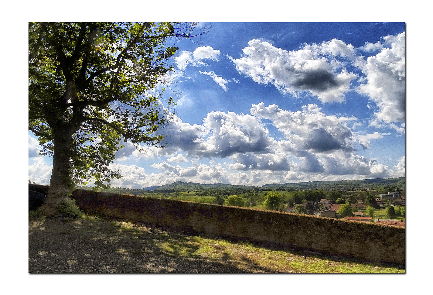 PAESAGGIO DOMESTICO