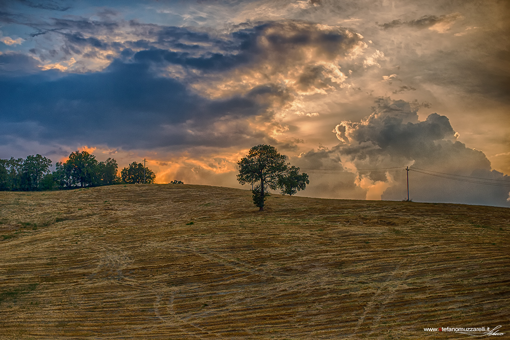 Paesaggio Emiliano