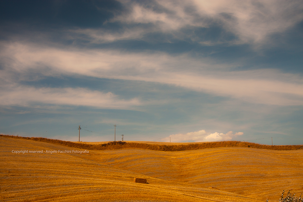 Paesaggio estivo