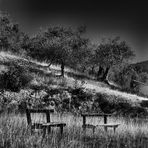 Paesaggio estivo in campagna